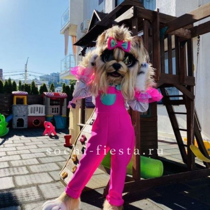 Аниматор Гламурная Собака в Вологде