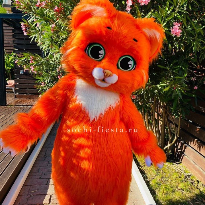 Аниматор Котик в Вологде