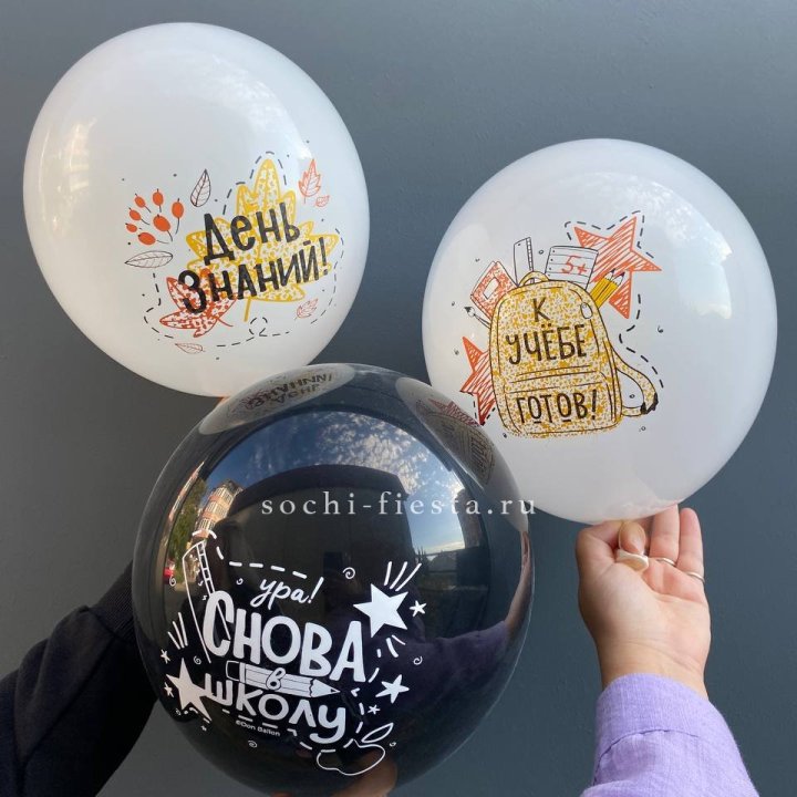 Воздушный шар к 1 сентября в Вологде
