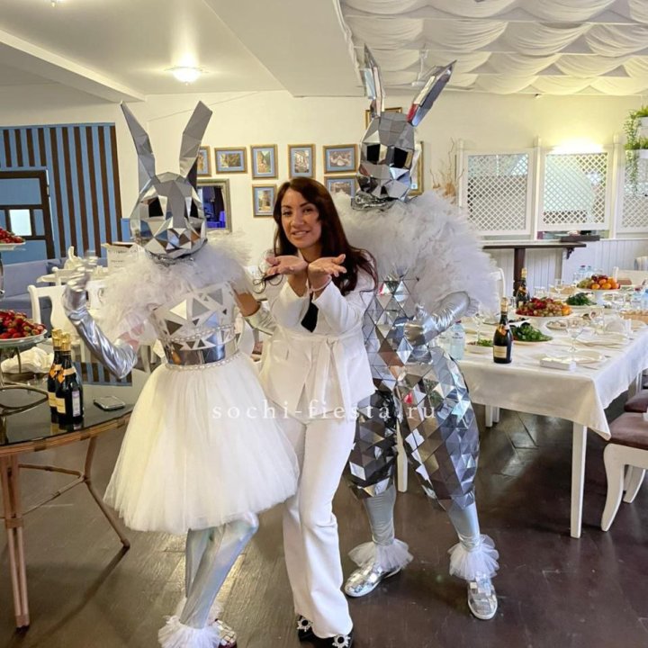 Аниматор Зеркальный заяц в Вологде