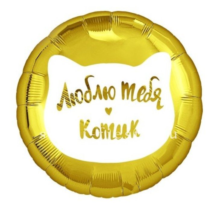 Фольгированный шар "Люблю тебя, Котик" в Вологде