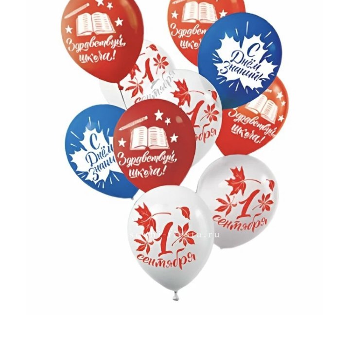 Воздушный шар на день знаний в Вологде