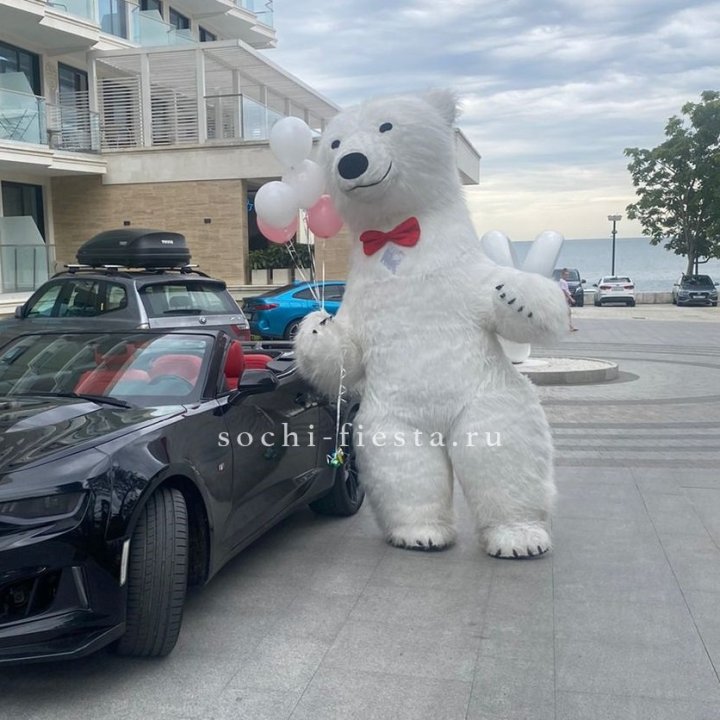 Аниматор Белый Медведь в Вологде