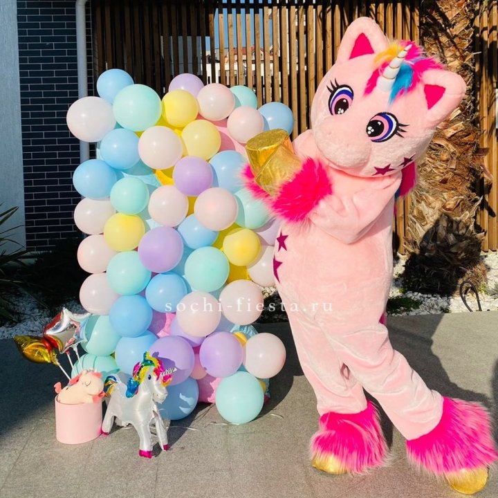 Аниматор Единорог в Вологде