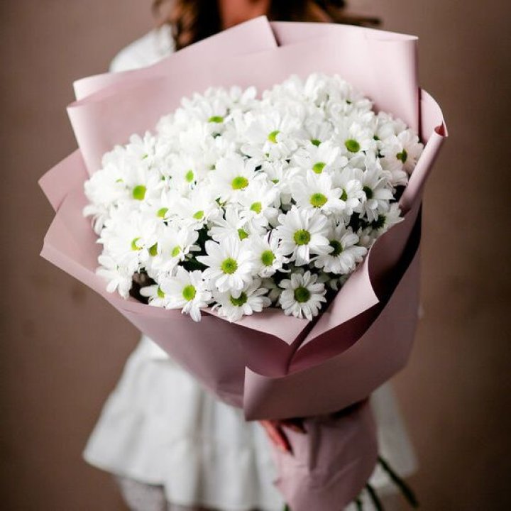 Букет хризантем №2 в Вологде