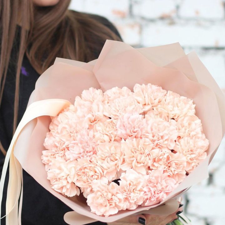 Диантусы №2 в Вологде