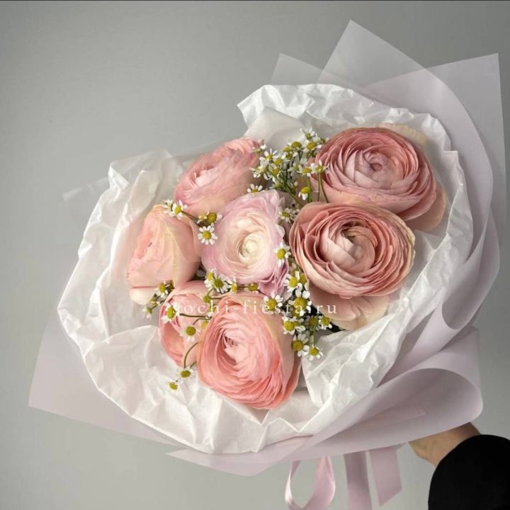 Ранункулюсы с ромашками в Вологде