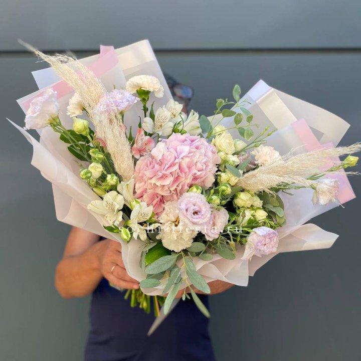 Гортензия "Пинк флоид" в Вологде