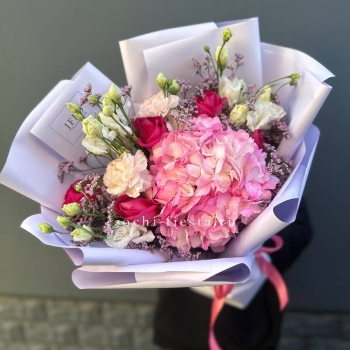 Гортензия "Перпил" в Вологде