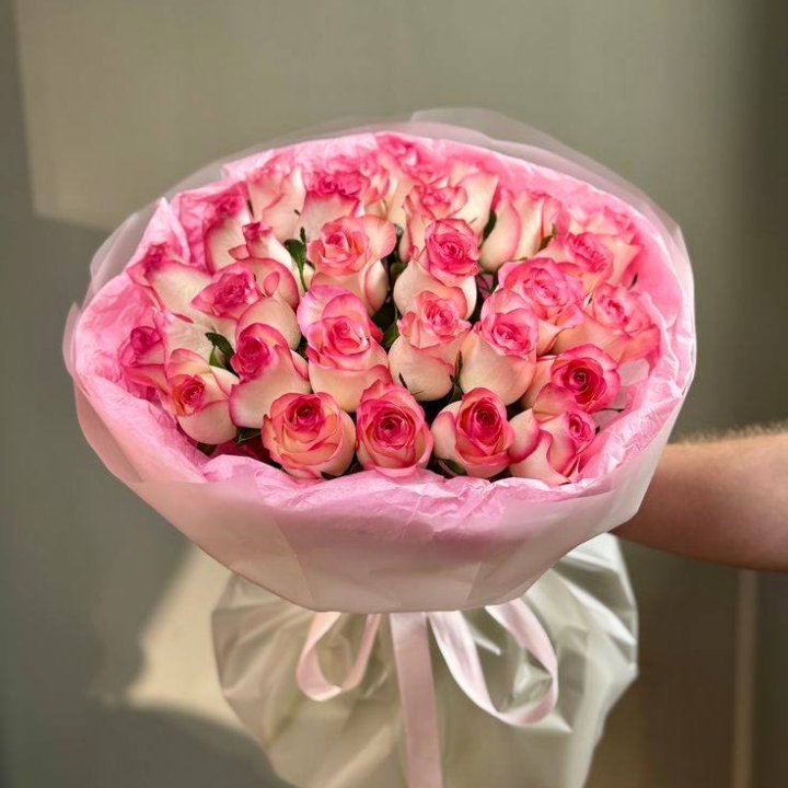 29 джумилий в Вологде