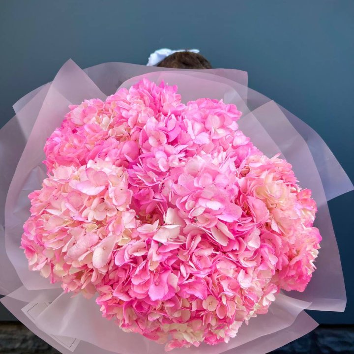 9 ярко розовых гортензий в Вологде