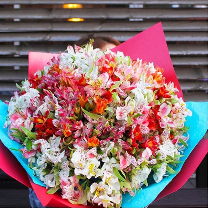 101 альстромерия в Вологде