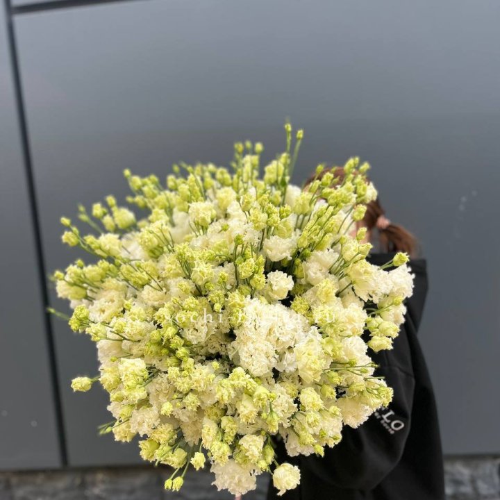 51 белая эустома в Вологде