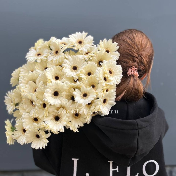 51 гербера в Вологде