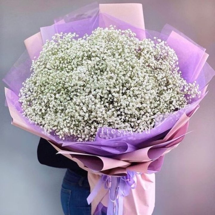 Облако белых гипсофил в Вологде