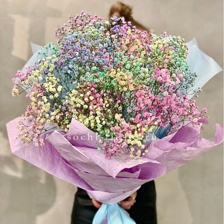 Радужные гипсофилы №2 в Вологде