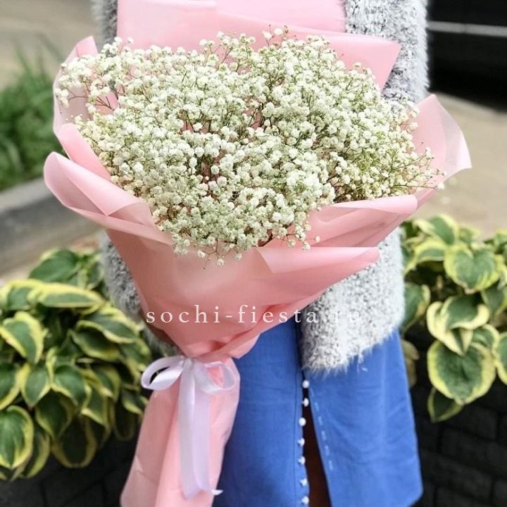 Белоснежные гипсофилы в Вологде