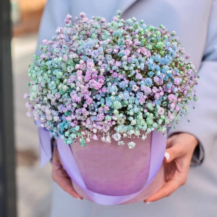 Гипсофилы в шляпной коробке "Кандилайт" в Вологде