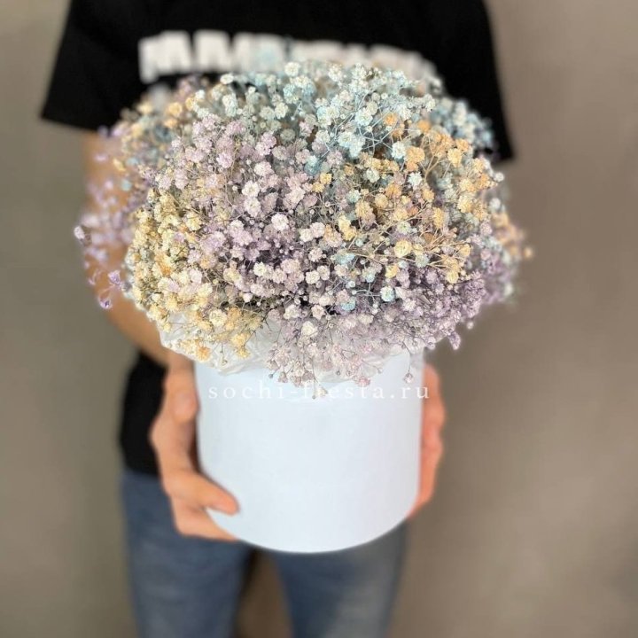 9 Радужных гипсофил в шляпной коробке в Вологде