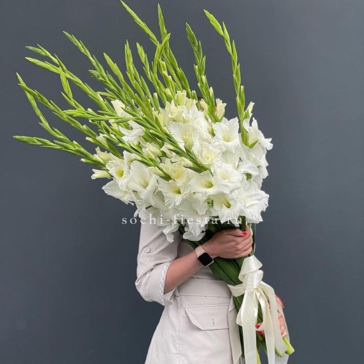 19 белых гладиолусов под ленту в Вологде