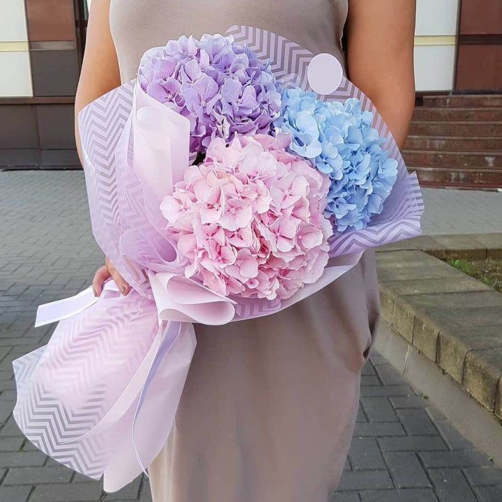 Букет гортензий "Пуф" в Вологде