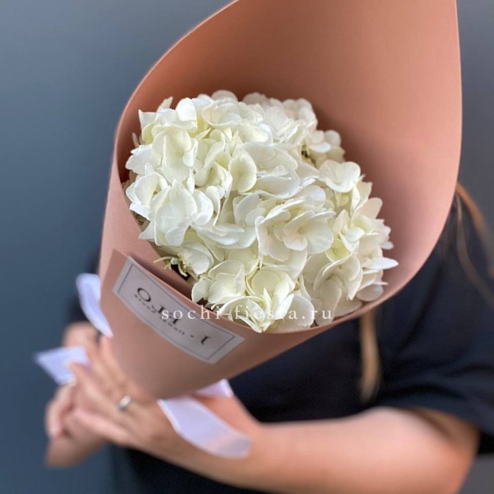 Гортензия в конверте в Вологде