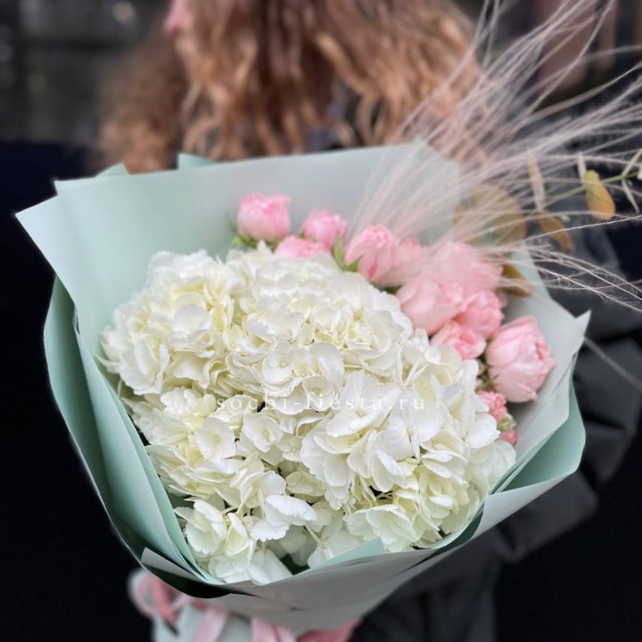 Гортензия "Жасмин" в Вологде