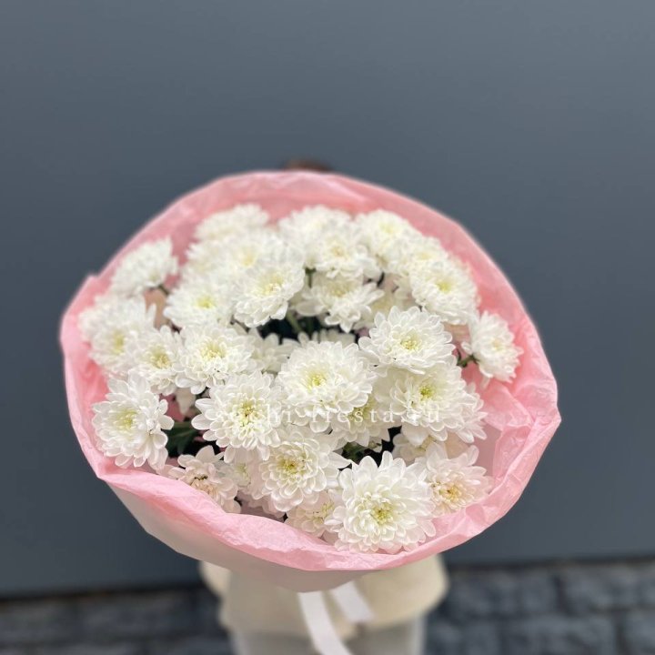  5 хризантем  в Вологде