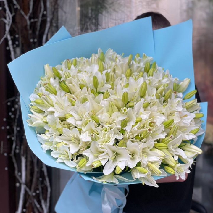 51 лилия в оформлении в Вологде