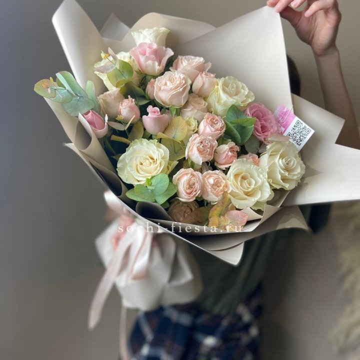 Амели в Вологде