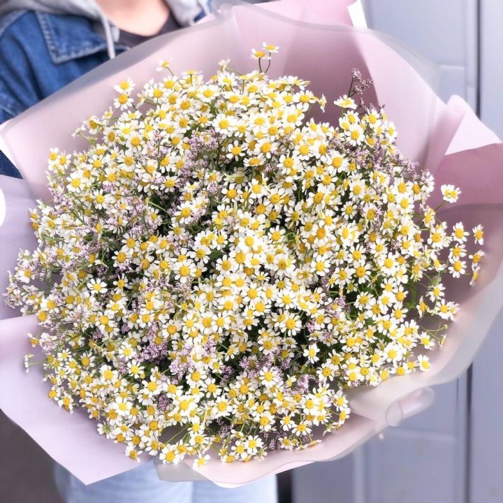 Букет ромашек №1 в Вологде