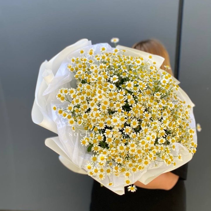 Букет ромашек "Фемели" в Вологде
