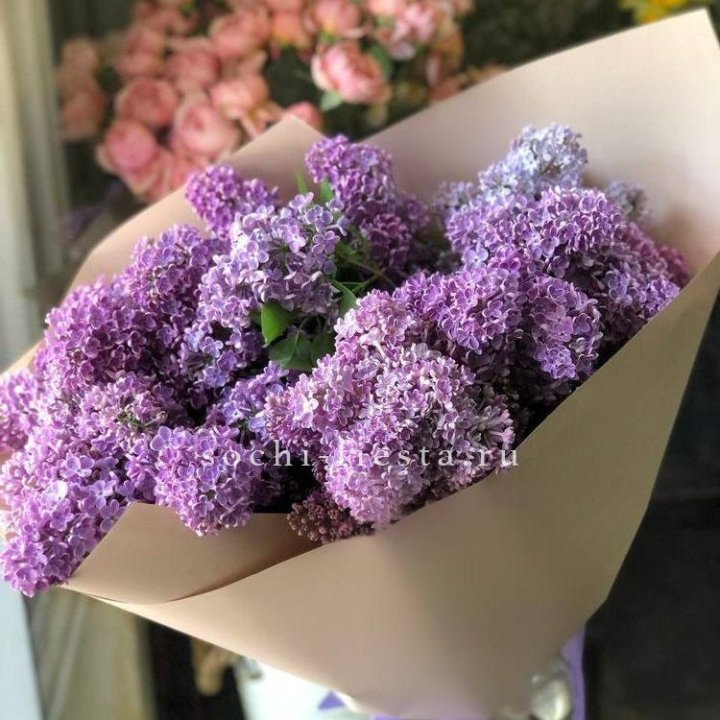 Букет сирени №2 в Вологде