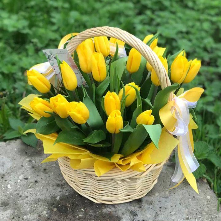 25 желтых тюльпанов в корзине в Вологде