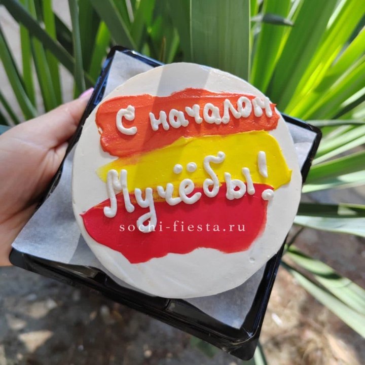 Бенто-торт "С началом учёбы"" в Вологде