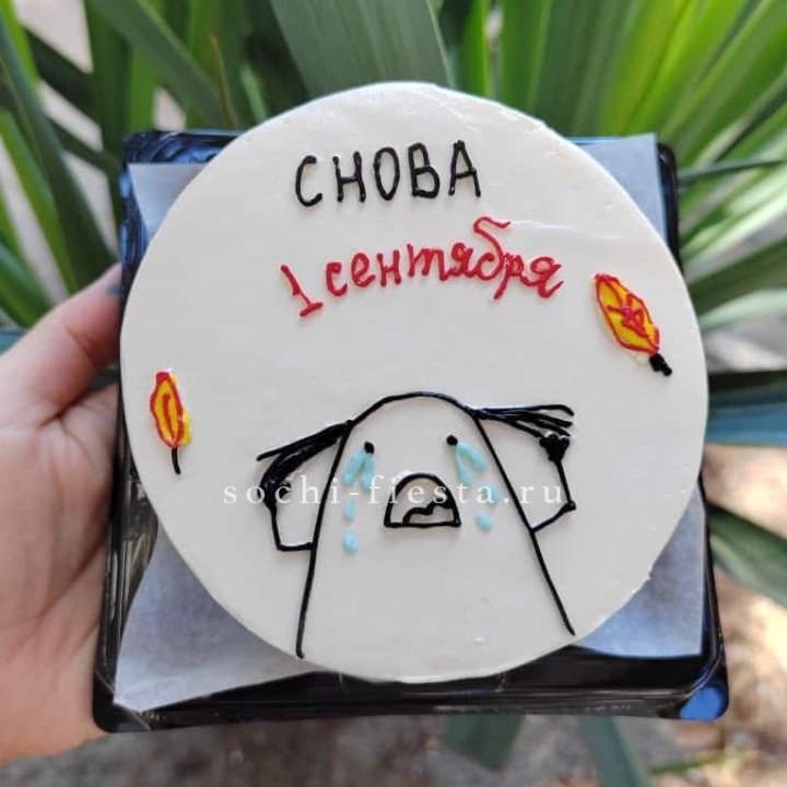 Бенто-торт "Не опять, а снова..." в Вологде