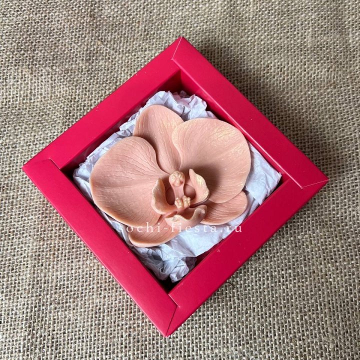 Бельгийский шоколад Орхидея в Вологде