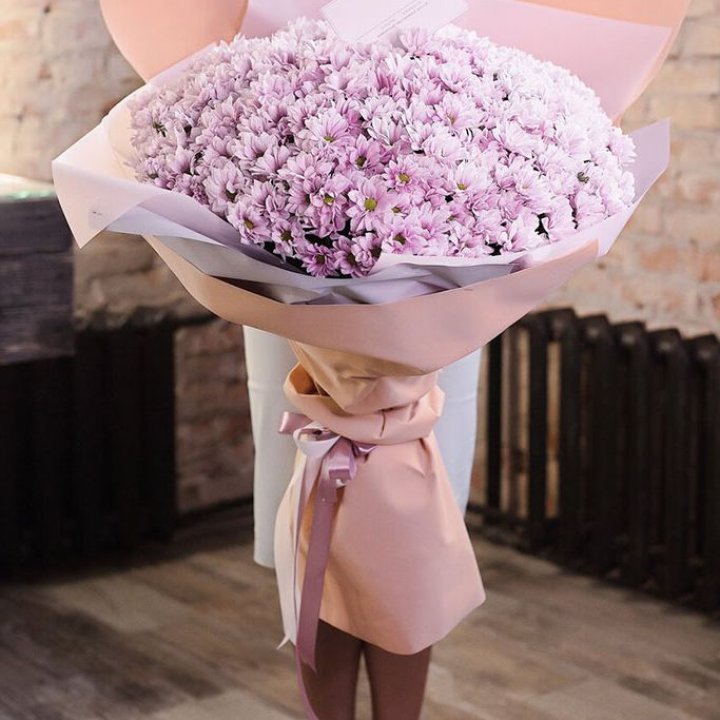 Облако хризантем №1 в Вологде