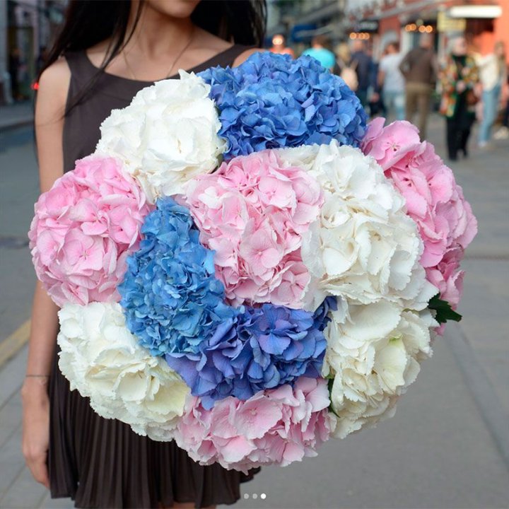 Букет гортензий "Инь-Янь" в Вологде