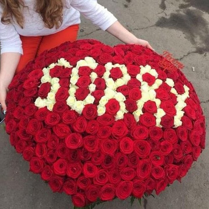 351 роза "Прости меня" в Вологде