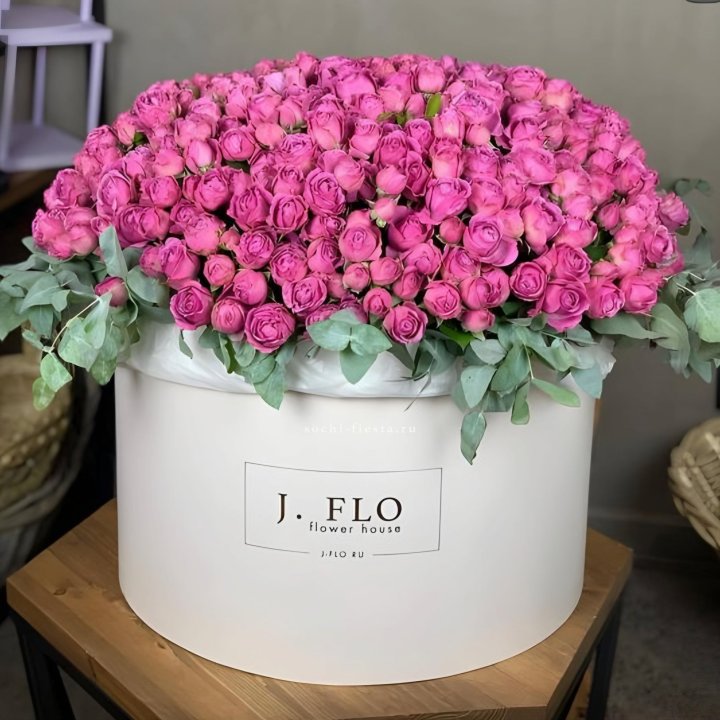 Цилиндр с Мисти Бабблс  в Вологде