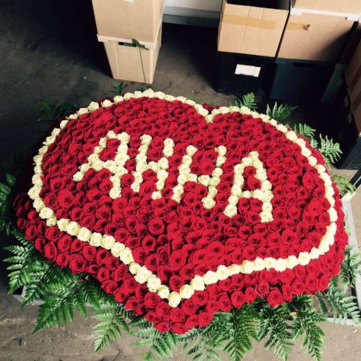 555 роз с именем в Вологде