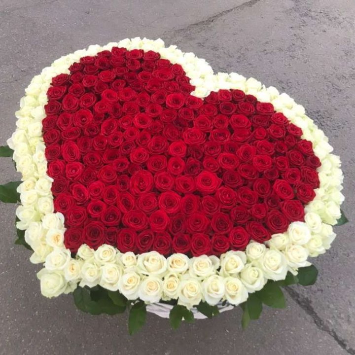 333 розы в корзине в Вологде