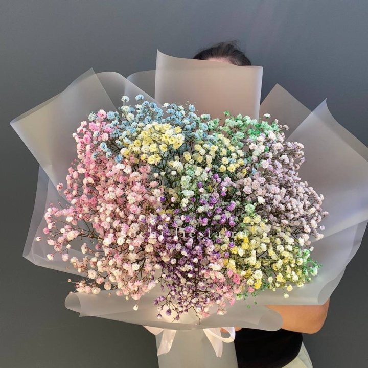 Радужные гипсофилы  в Вологде