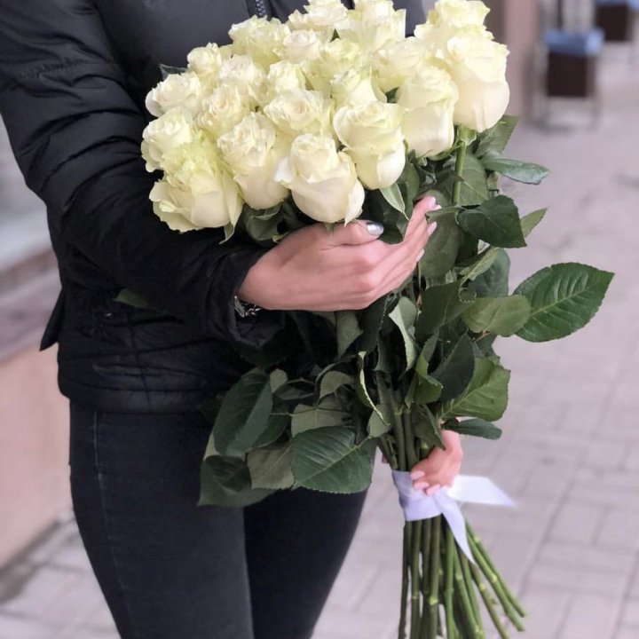 Голландские розы белые в Вологде