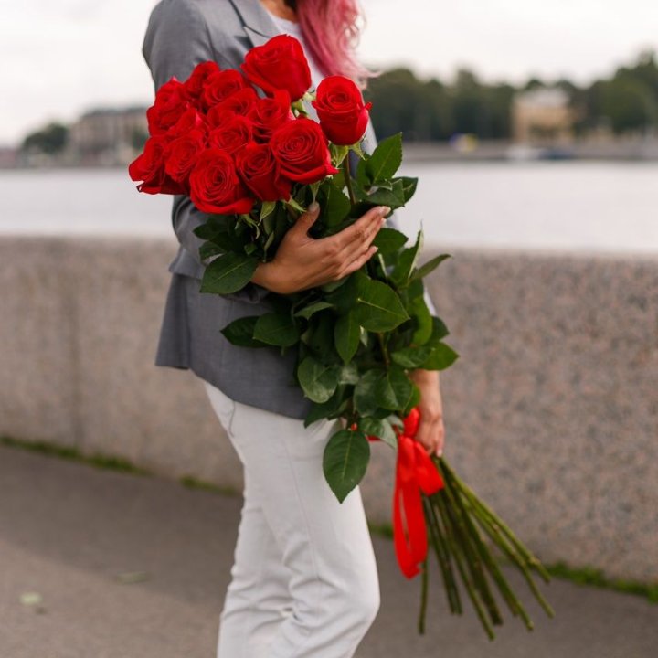 15 метровых голландских роз в Вологде