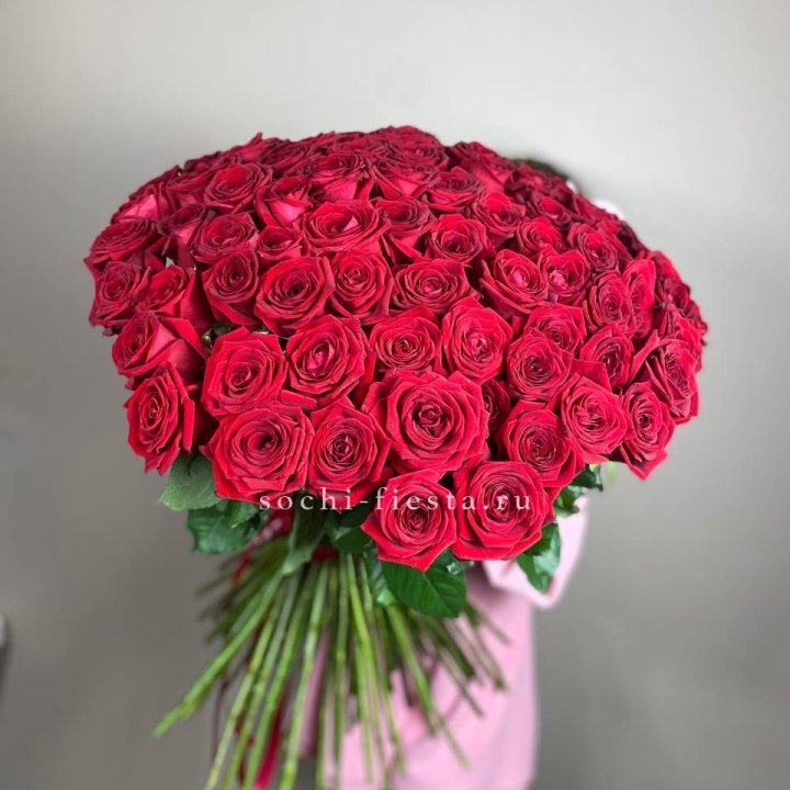 101  голландская роза  в Вологде