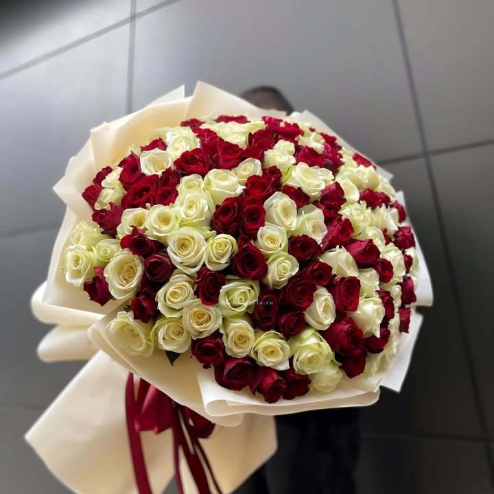 101 высокая импортная роза  в Вологде