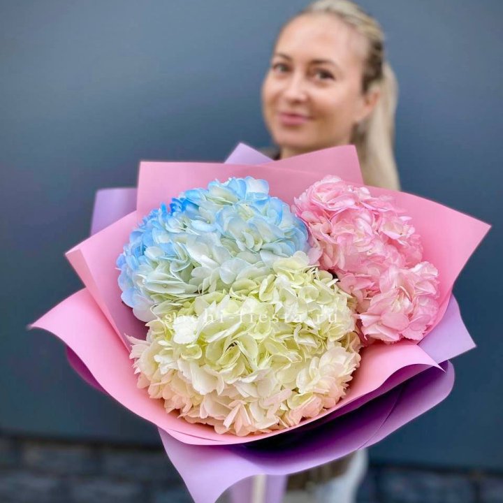 Букет гортензий "Тоника" в Вологде