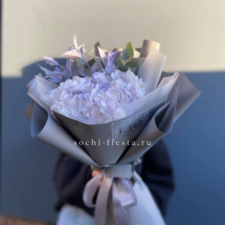 Гортензия "Виолета" в Вологде
